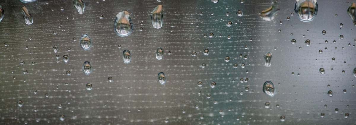 les gouttes de pluie pour la photos du dimanche par Sybil Rondeau photographe de famille à Nantes